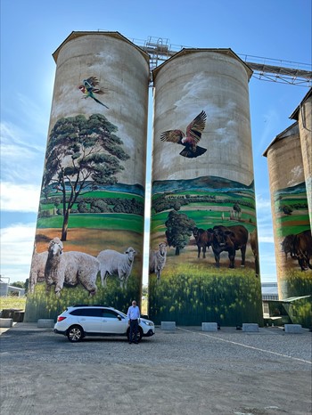 Silo art with Norm McMurray - Grenfell, NSW - October 2024